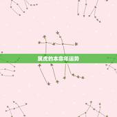 属虎的本命年运势，属虎人2022年每月运势