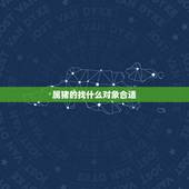 属猪的找什么对象合适，生肖属猪的更佳配偶
