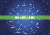 貔貅的图片大全图片，貔貅摆件怎么摆放图片大全