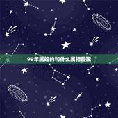 99年属蛇的和什么属相最配，19990年6月3日属马的和什么 属相最配
