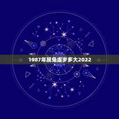 1987年属兔虚岁多大2022，1987年属兔2022年运势