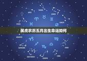 属虎农历五月出生命运如何，属虎五月出生是什么命