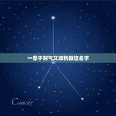 一辈子财气又顺利微信名字，有财运的微信名字