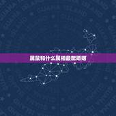 属鼠和什么属相最配婚姻，属鼠的和什么属相最配