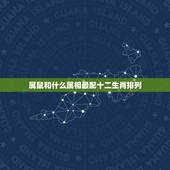 属鼠和什么属相最配十二生肖排列，属鼠的和什么属相最配