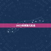 2022年男婴儿乳名，2021牛宝宝最火乳名满米