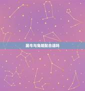 属牛与兔婚配合适吗，牛和兔合得来吗