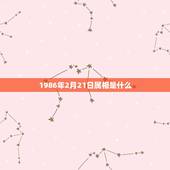 1986年2月21日属相是什么，属虎1986年2月21号是什么星座