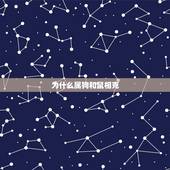 为什么属狗和鼠相克，男狗和女鼠相冲吗