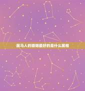 属马人的婚姻最好的是什么属相，1990年属马的和什么属相相配好