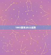 1991属羊2022运势，1991年属羊男2021年每月运势