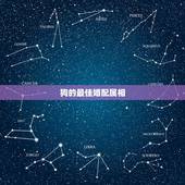 狗的最佳婚配属相，男属狗的和什么属相最配