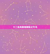 十二生肖属相婚配之午马，婚配属相马和马如何