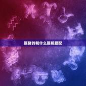 属猪的和什么属相最配，属猪的和什么属相最配婚姻