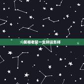 属相老鼠一生财运怎样，1978属马的贵人是谁