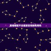 属相婚配不合摆放吉祥物有用吗，星云大师十二生肖婚配不合佩戴本命佛能化凶