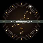 2001年属蛇的是什么命男，更好命的5大生肖