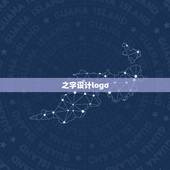 之字设计logo，设计logo需要注意什么