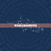 男鸡跟女猪的婚配好吗，4月属鸡男和八月属猪女相配吗？