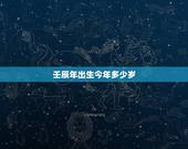 壬辰年出生今年多少岁，壬辰年是什么命