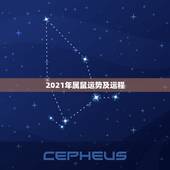 2021年属鼠运势及运程，2021属鼠人全年运势