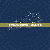 查生辰八字取名生辰八字五行查询 生辰八字起名免费取名