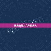 属虎的是九几年的多大，93年的今年多大