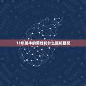 73年属牛的男性和什么属相最配，73年属牛男人与属什么的合作适宜