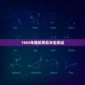 1965年属蛇男后半生命运，属蛇男1965年农历十二月十四命运如何
