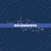 属猴与属猪婚配相克吗，属猪和属猴的能相配吗？