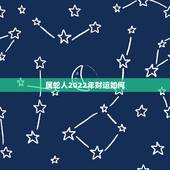 属蛇人2022年财运如何，蛇人2023年运势完整版