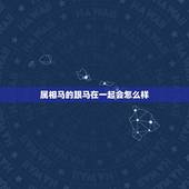 属相马的跟马在一起会怎么样，属马跟属马的在一起适合吗？两个人会幸福吗？