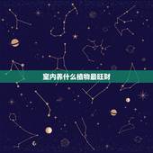 室内养什么植物最旺财，风水上家里养什么花好