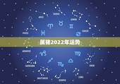 属猪2022年运势，71年属猪能活几十岁