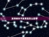 发财树叶子发黄是怎么回事，发财树叶子发黄了，怎么办？是什么原因呢？
