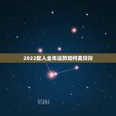 2022蛇人全年运势如何麦玲玲，属鸡2022 年运势及运程属鸡人2022 全年运势