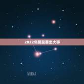 2022年属鼠要出大事，属鼠双子座2022年运势详解属鼠双子座2022