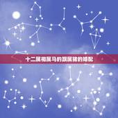 十二属相属马的跟属猪的婚配，属马和属猪的合不合