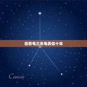 你养龟三年龟养你十年，求养龟专业人士， 这龟养10多年了，有感情了，
