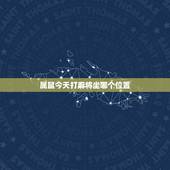 属鼠今天打麻将坐哪个位置，2022 年属鼠人打麻将方位
