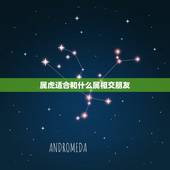 属虎适合和什么属相交朋友，属虎和什么属相最配