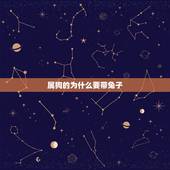 属狗的为什么要带兔子，自从学会狗撵兔 踏上人生不归路啥意思