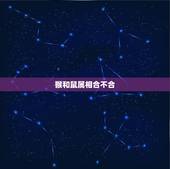 猴和鼠属相合不合，猴和鼠合不合