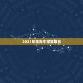 2021年生肖牛宝宝取名，何姓牛宝宝取名大全2021款