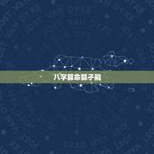 八字算命算子嗣，八字算命有儿子吗？大家请求问答，帮我一下