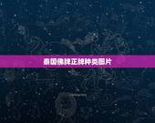 泰国佛牌正牌种类图片，泰国佛牌是“佛牌”还是“鬼牌”