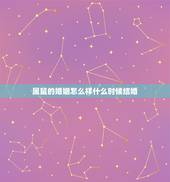 属鼠的婚姻怎么样什么时候结婚，属鼠的和什么属相最配
