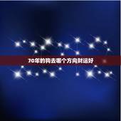 70年的狗去哪个方向财运好，男70属狗21年财运方位