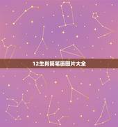 12生肖简笔画图片大全，十二生肖怎么画