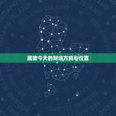 属猪今天的财运方向与位置